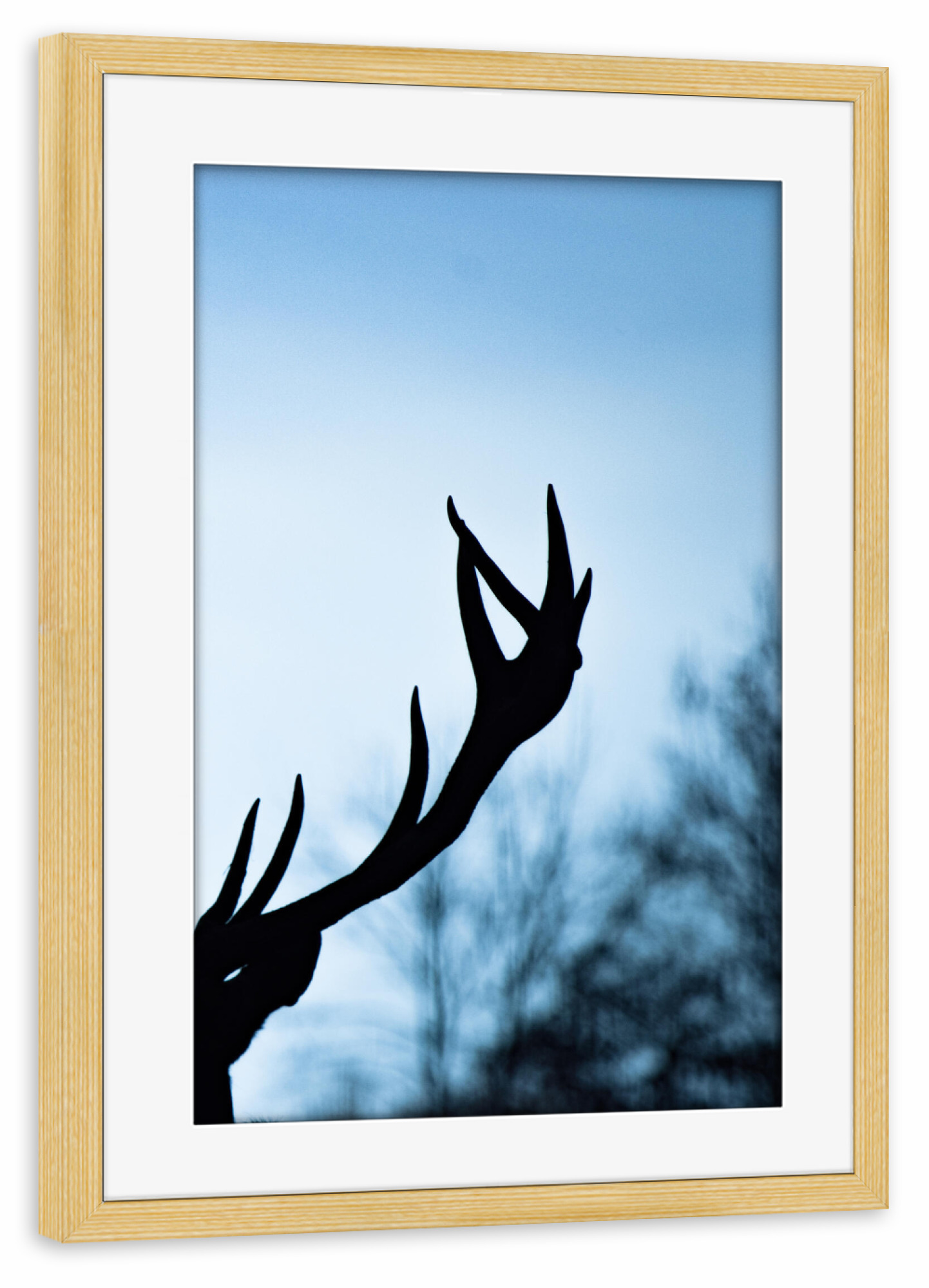 Poster mit Rahmen kiefer "Hirschgeweih" artboxONE - Natur,Tiere