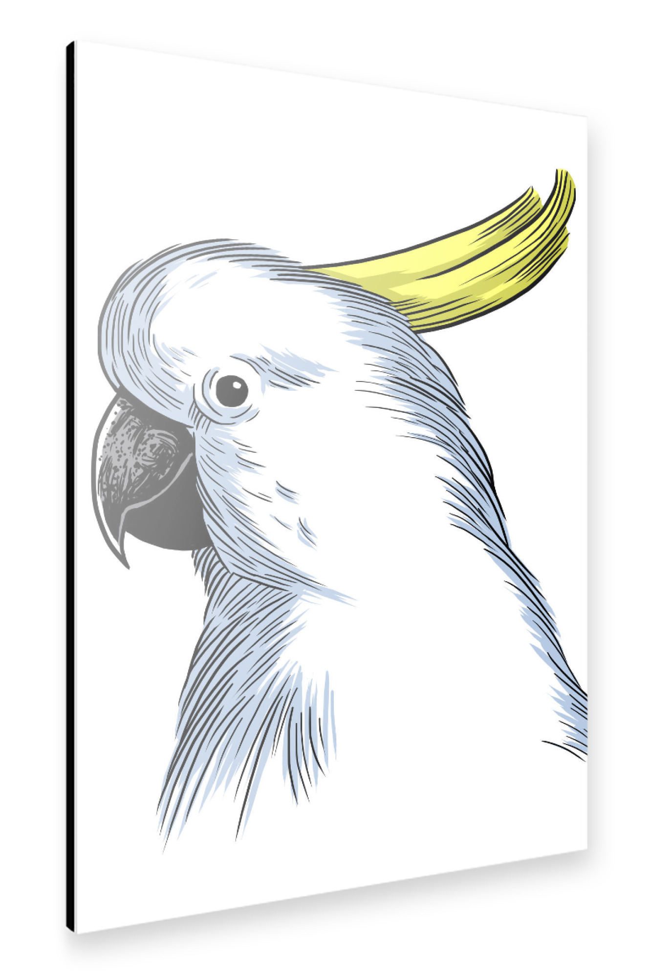 Alu-Dibond "Sketch Macaw" 30x20 cm artboxONE