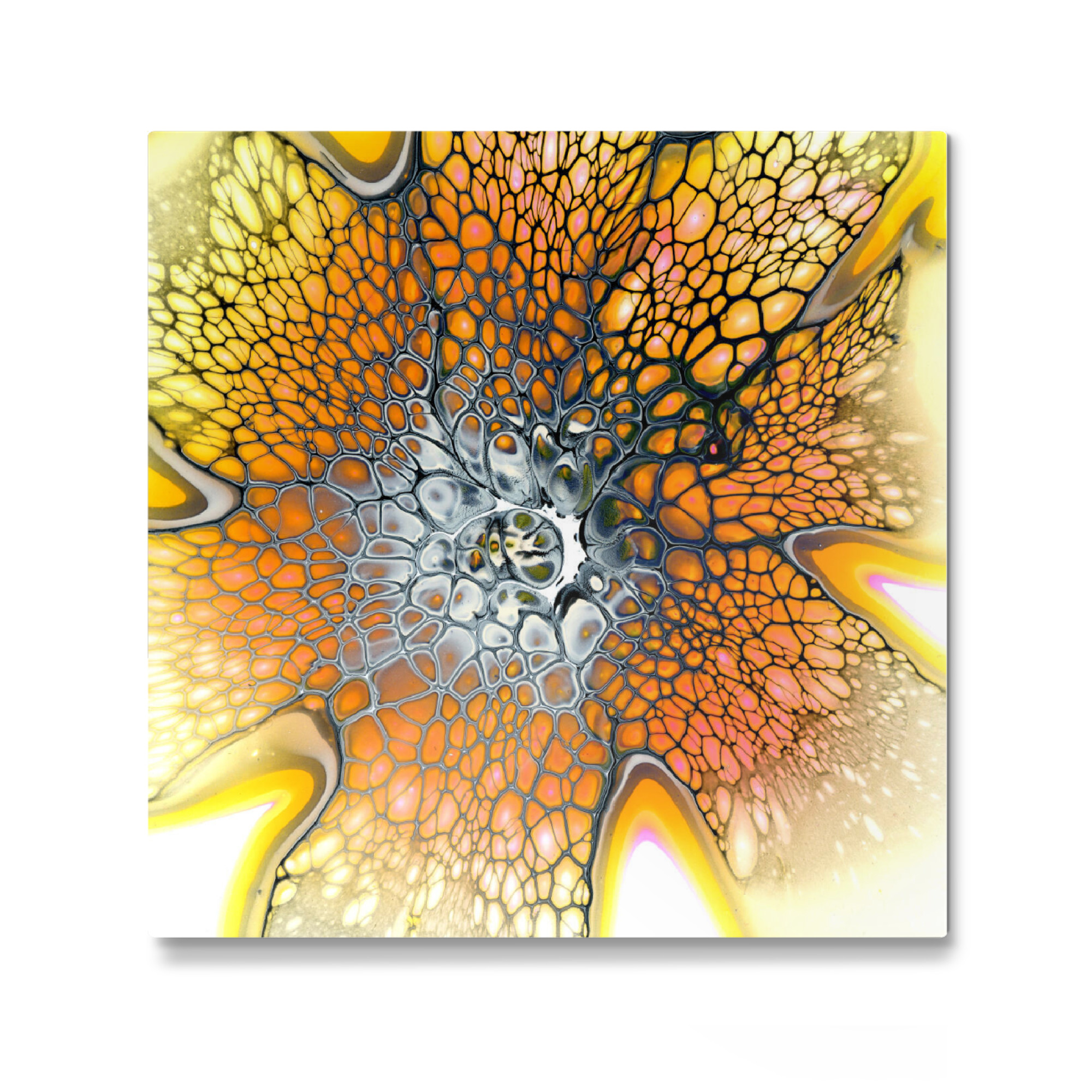 Galerie-Print "Orange Bloom" 30x30 cm artboxONE