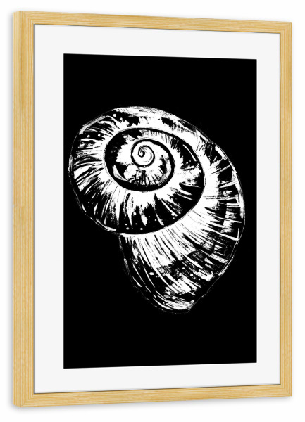 Poster mit Rahmen kiefer "Black and White Spiral Seashell" artboxONE - Natur,Schwarzweiß,Unterwasser