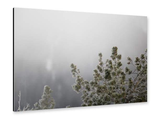 Alu-Dibond "Icy Needles" 30x20 cm artboxONE