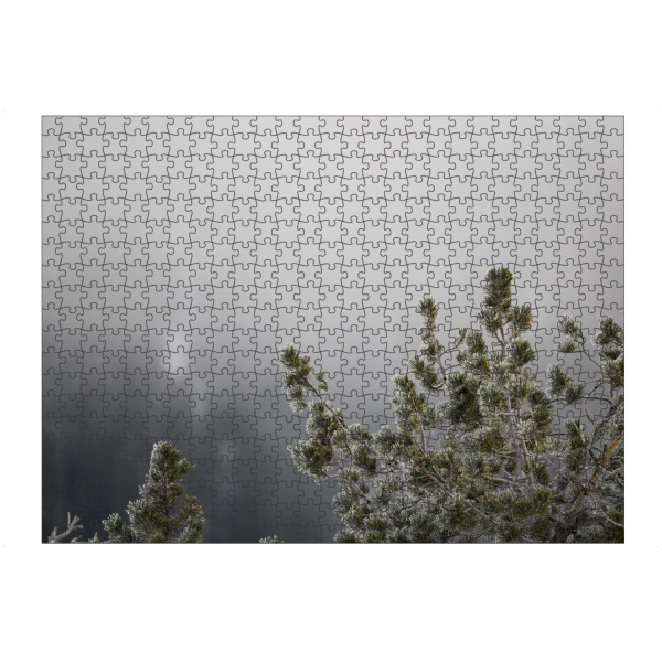artboxONE Puzzle "Icy Needles" artboxONE - Natur - Minimalistisch,Nadeln,Nebel,Winter,Eis,Kalt,Stillleben,Schweiz,Gebirge,Stille,Natur,Nature