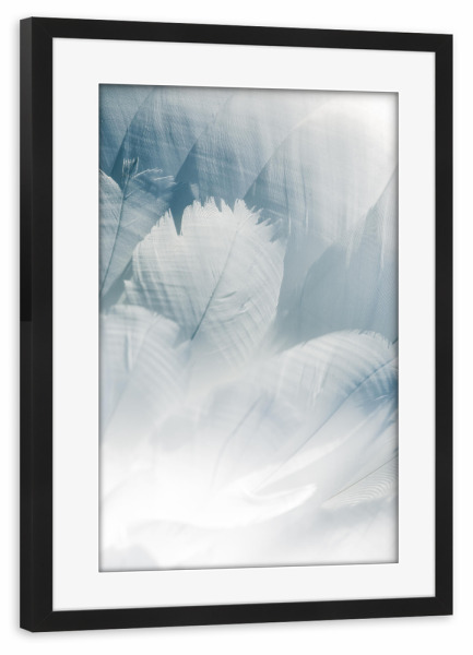 Poster mit Rahmen schwarz "Schwanfedern" artboxONE - Natur,Tiere - Federn,Federkleid,Schwan,Höckerschwan,Natur,Nature,Feather,Closeup,Nahaufnahme
