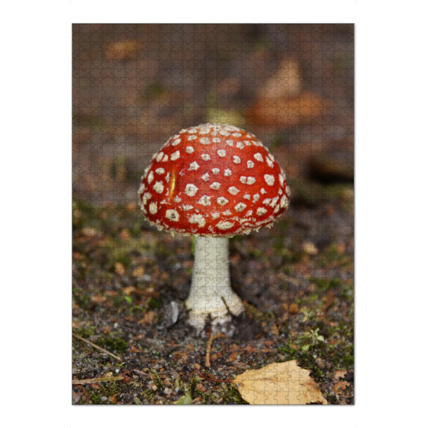 Puzzle Ravensburger "Licht der Erde" artboxONE - Städte,Städte / Hamburg,Natur