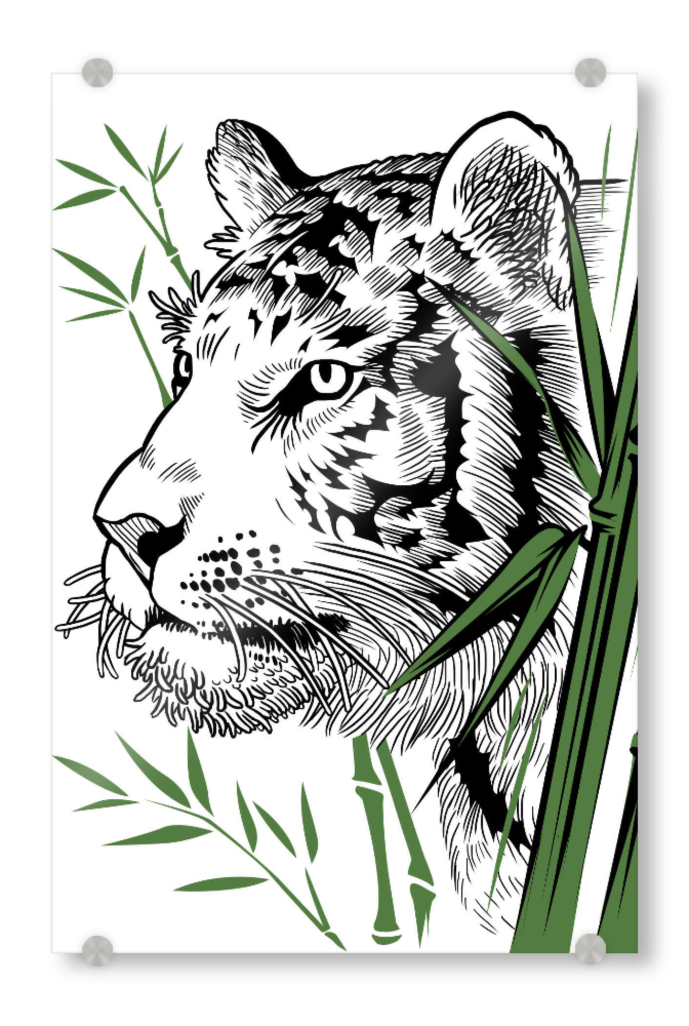 Acrylglasbild "Bamboo Tiger" artboxONE - Tiere - Tiger,Feline,Predator,Bamboo,Japan,Tier,Animal,Wild,Natur,Portrait