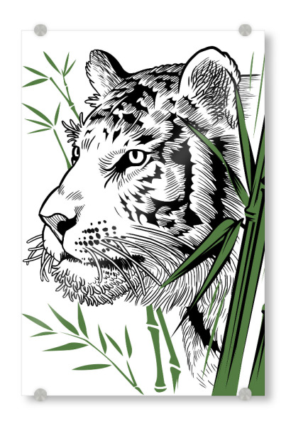 Acrylglasbild "Bamboo Tiger" artboxONE - Tiere - Tiger,Feline,Predator,Bamboo,Japan,Tier,Animal,Wild,Natur,Portrait