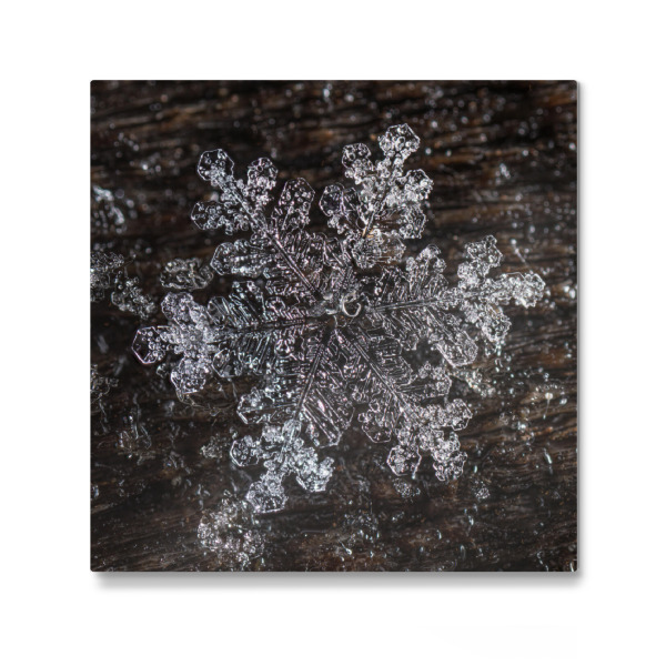 Galerie-Print "Schneekristall" 30x30 cm artboxONE