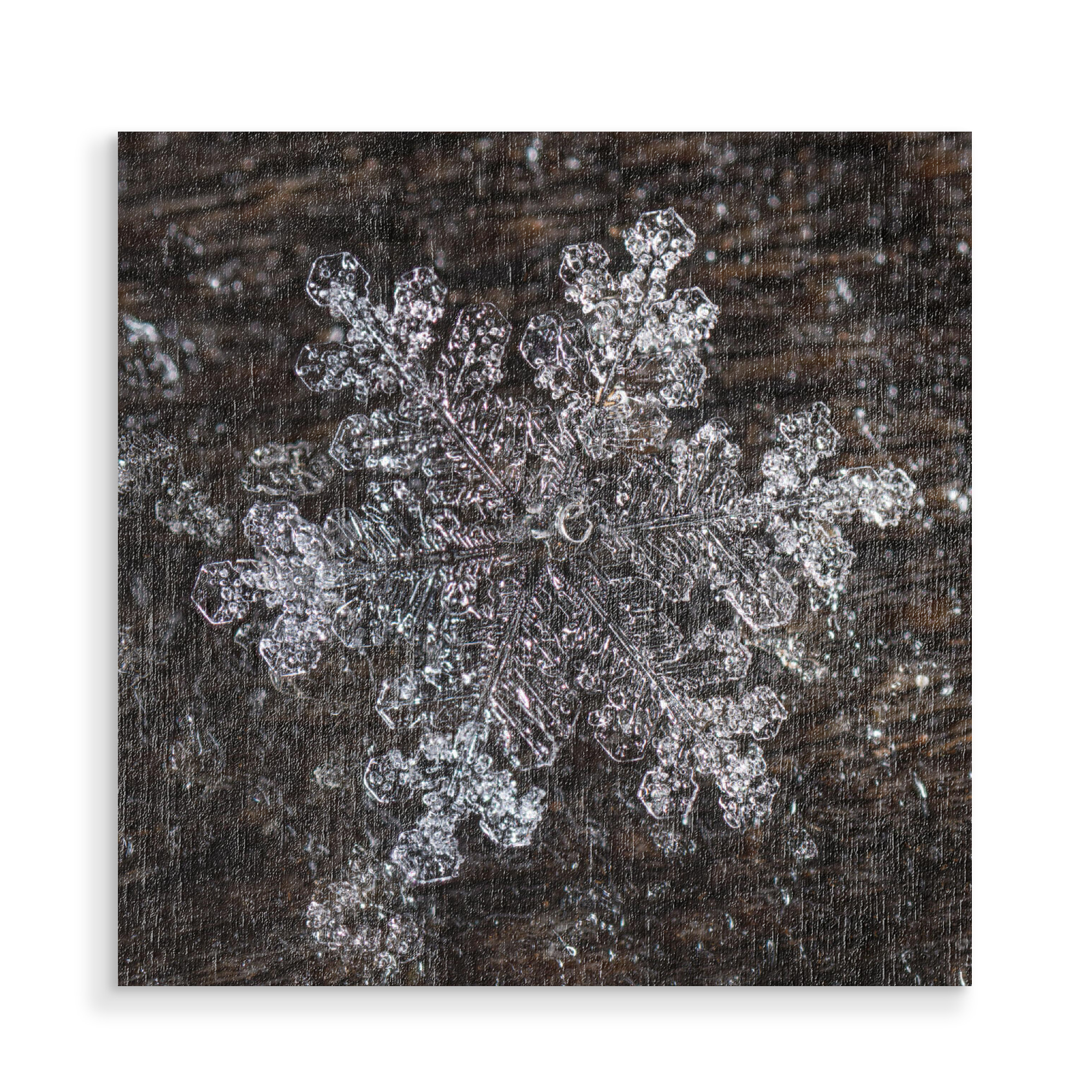 Holzbild "Schneekristall" artboxONE - Natur