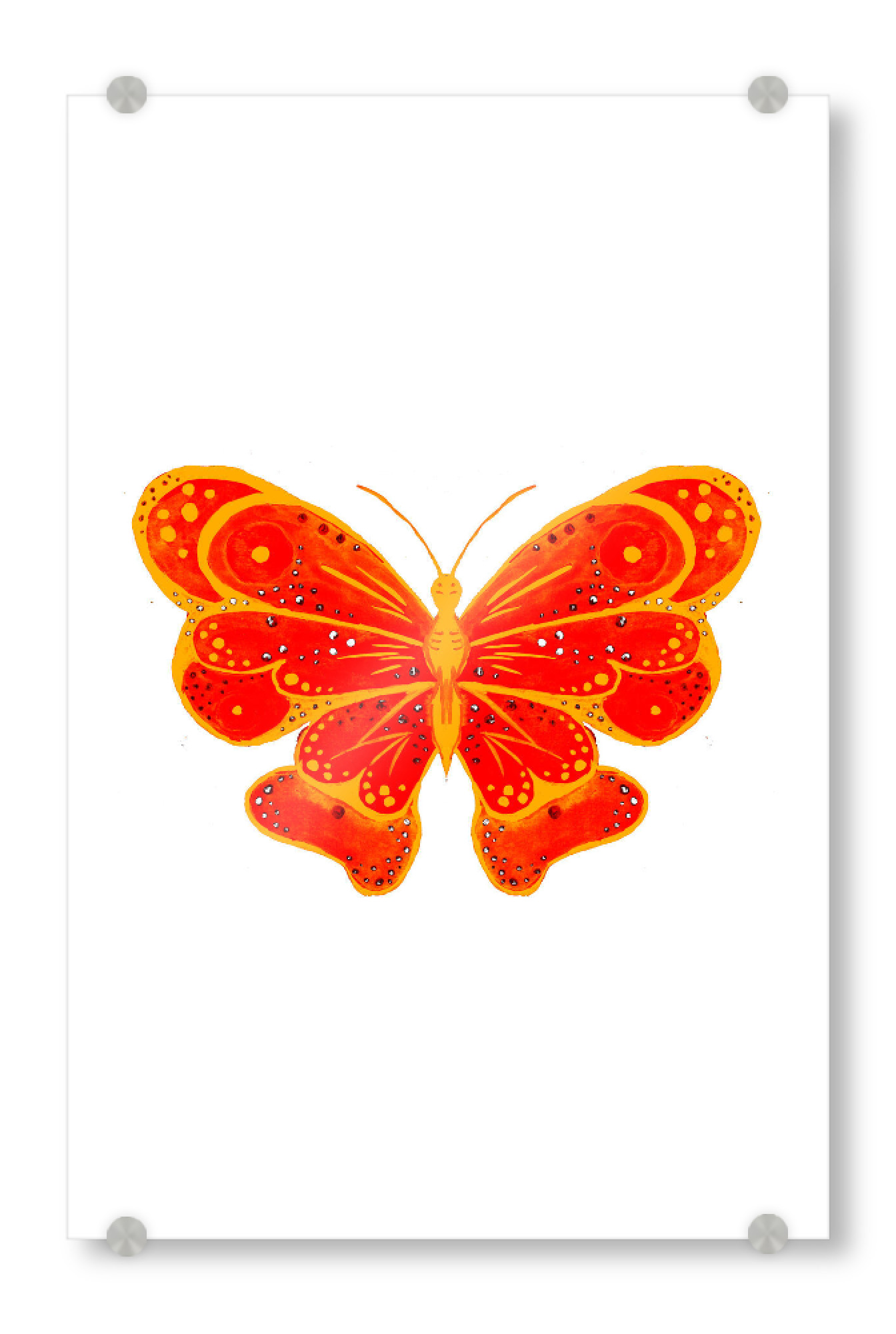 Acrylglasbild "Orange Butterfly" artboxONE - Tiere