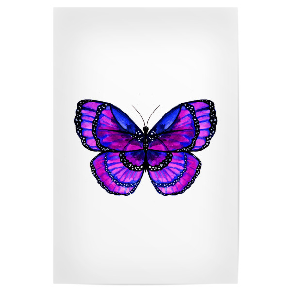 Poster 30x20 cm "Purple Butterfly" artboxONE - Tiere - Butterfly,Schmetterling,Purple,Blue,Wings,Nature,Insects,Wildlife,Summer,Spring