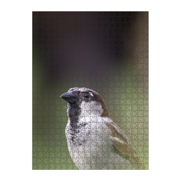 Puzzle Ravensburger "Birdy bird" artboxONE - Natur,Reise,Tiere - Bird,Birdy,Bird photography,Moody,Vogel,Tier,Animal,Closeup,Nahaufnahme,Natur,Nature