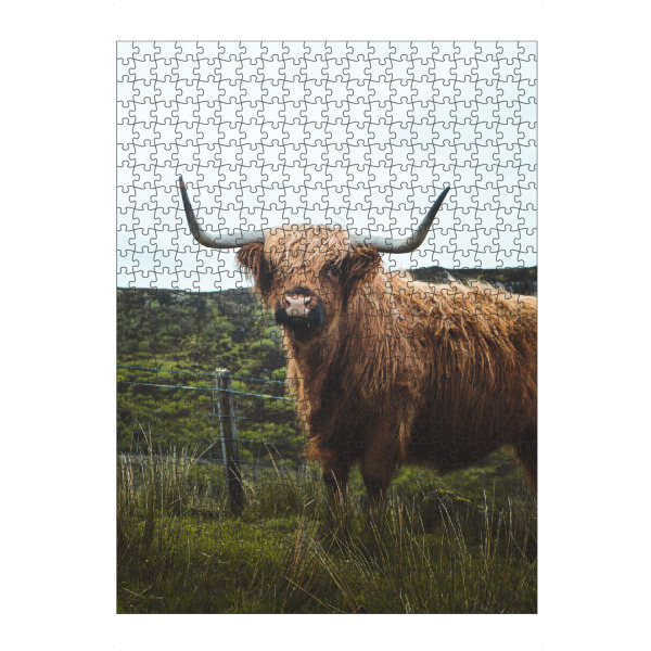 artboxONE Puzzle "Highland cattle in scotland" artboxONE - Natur,Reise,Tiere,Reise / Länder