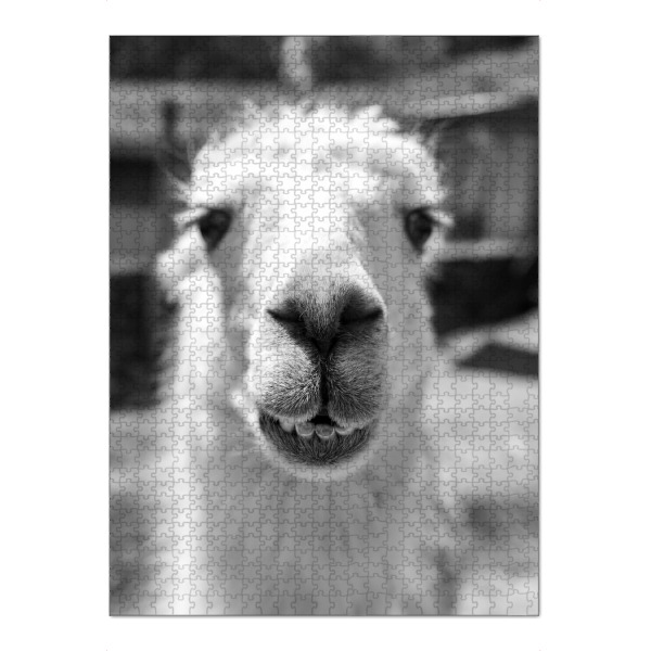 Puzzle Ravensburger "Close Llama Snout" artboxONE - Natur,Tiere,Lustig