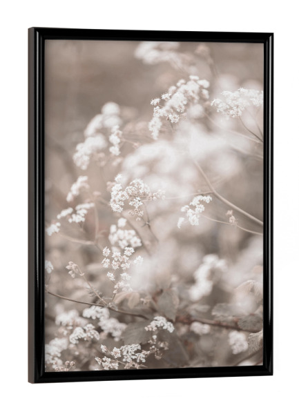 Poster mit schwarzem Rahmen "Small Plant" artboxONE - Natur,Floral