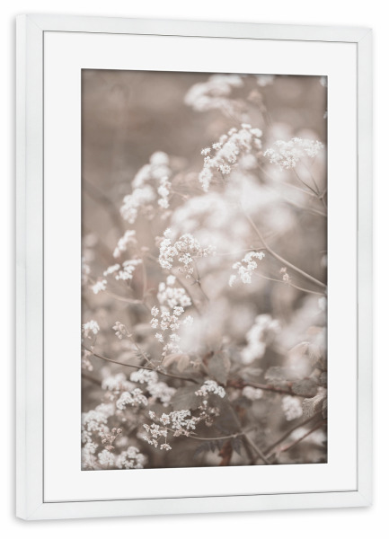 Poster mit Rahmen weiß "Small Plant" artboxONE - Natur,Floral