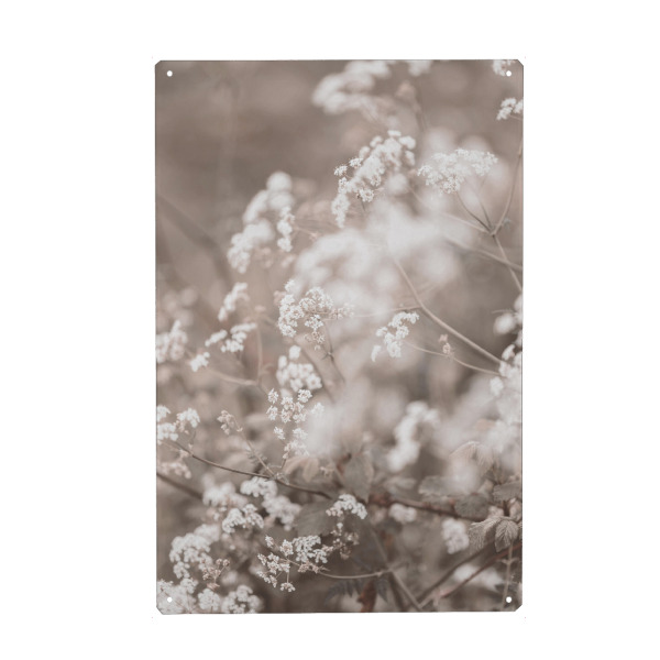 Holzbild "Small Plant" artboxONE - Natur,Floral - Small plant,Floral,Natur,Nature,Blumen,Blätter,Leaves,Closeup,Nahaufnahme,Plant,Pflanze