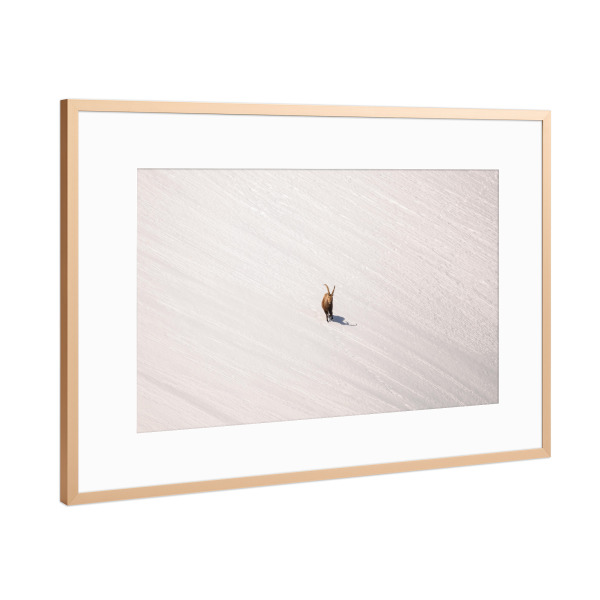 Poster mit Rahmen Kupfer "Lines in White" artboxONE - Natur,Tiere