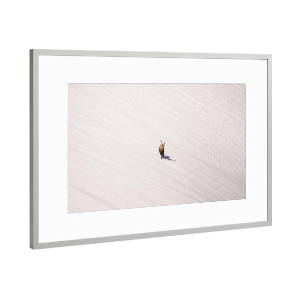 Poster mit Rahmen Silber "Lines in White" artboxONE - Natur,Tiere