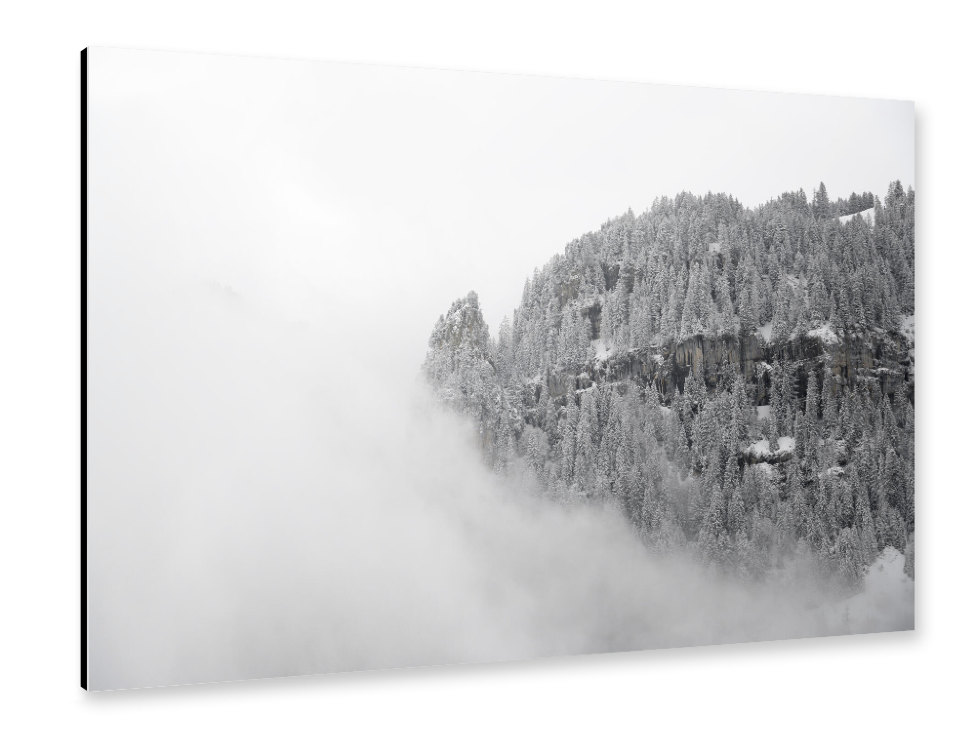 Alu-Dibond "Floating Winter Pines" 75x50 cm artboxONE