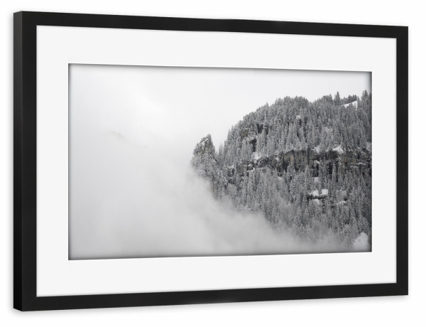 Poster mit Rahmen schwarz "Floating Winter Pines" artboxONE - Natur