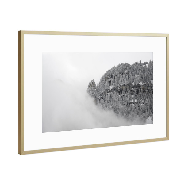Poster mit Rahmen Gold "Floating Winter Pines" artboxONE - Natur