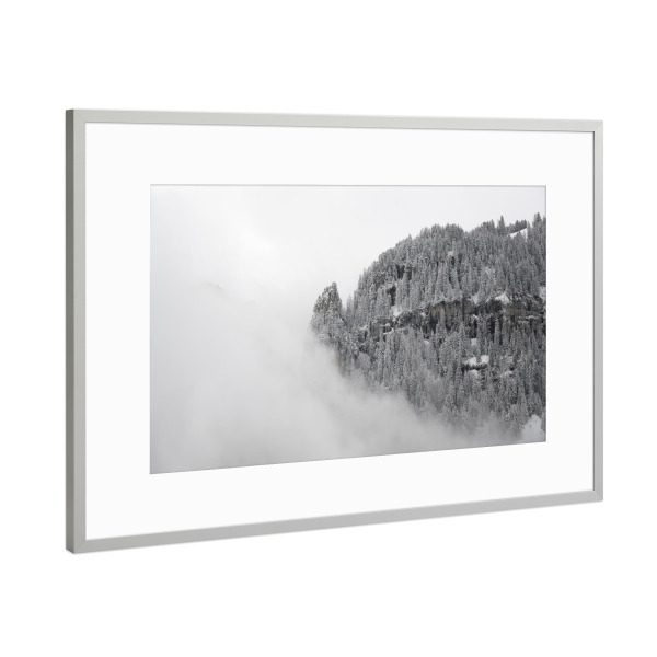 Poster mit Rahmen Silber "Floating Winter Pines" artboxONE - Natur