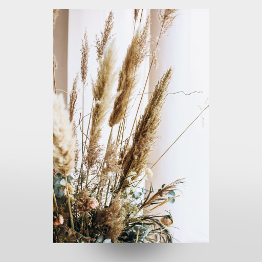 Dried Flowers Boho