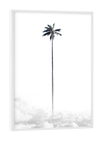 Poster mit weißem Rahmen "Palm above the Clouds" artboxONE - Natur,Schwarzweiß