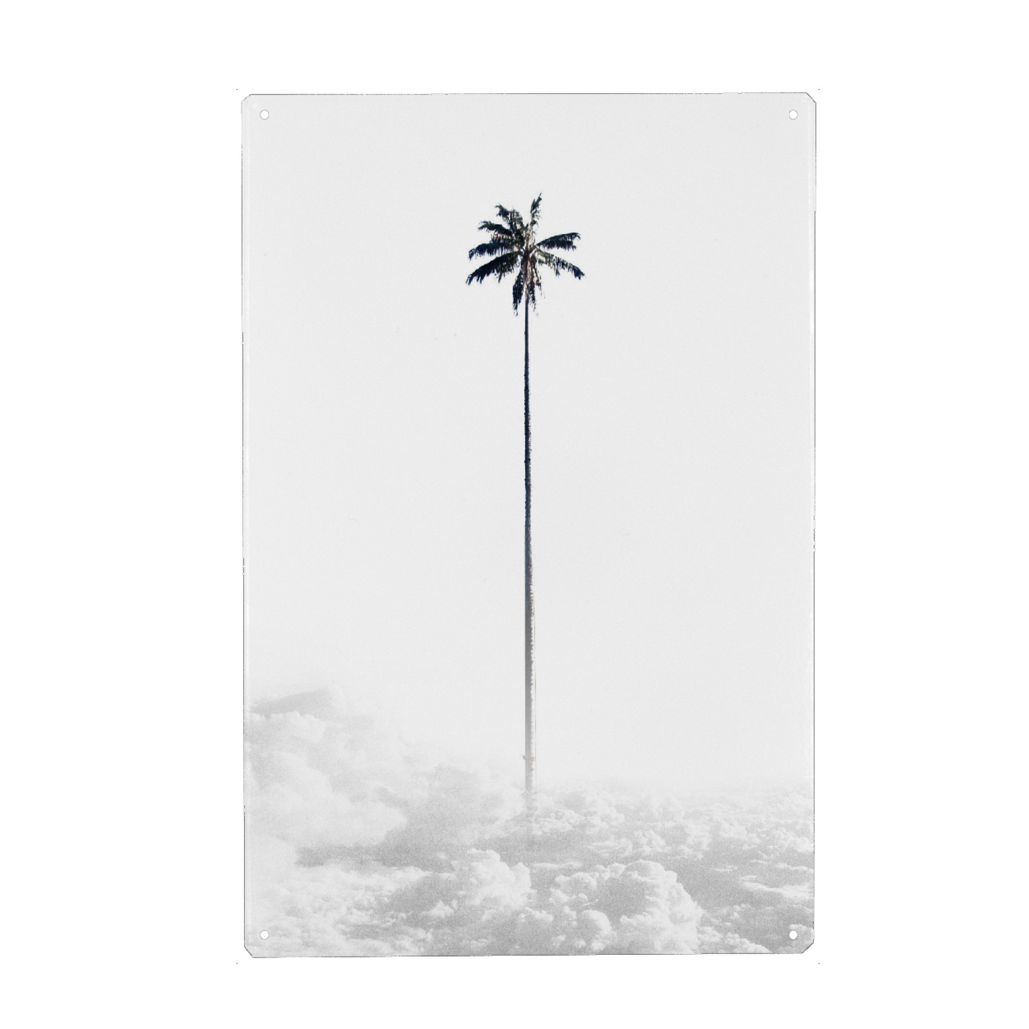 Holzbild "Palm above the Clouds" artboxONE - Natur,Schwarzweiß