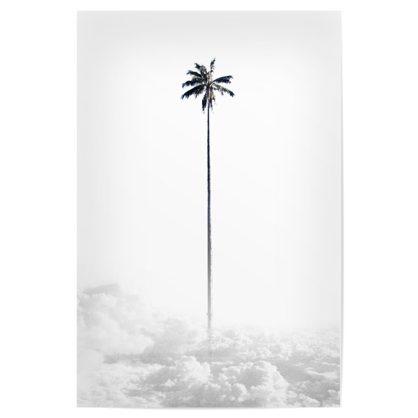 Poster 30x20 cm "Palm above the Clouds" artboxONE - Natur,Schwarzweiß