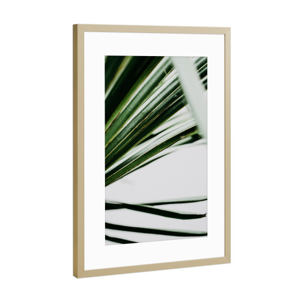 Poster mit Rahmen Gold "Palmenblatt I" artboxONE - Natur,Floral - Palmenblatt,Minimalistisch,Grün,Palm,Tree,Palmenblätter,Floral,Natur,Nature