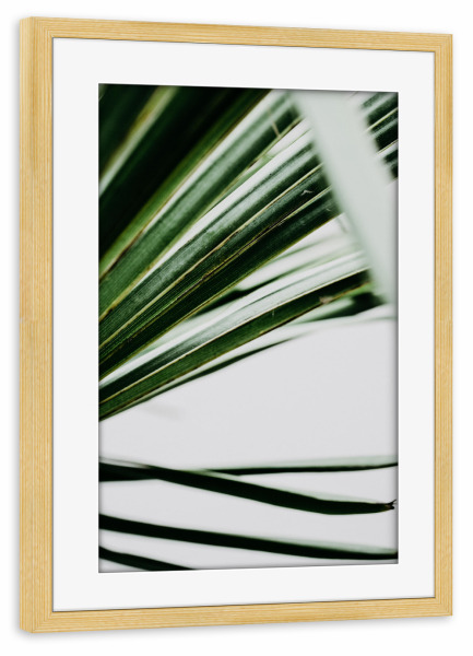 Poster mit Rahmen kiefer "Palmenblatt I" artboxONE - Natur,Floral - Palmenblatt,Minimalistisch,Grün,Palm,Tree,Palmenblätter,Floral,Natur,Nature