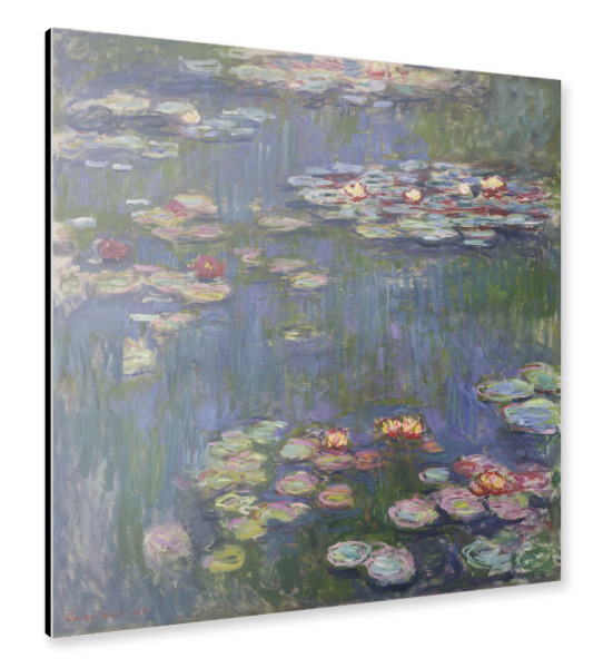 Alu-Dibond "Seerosen | Water Lilies" 30x30 cm artboxONE