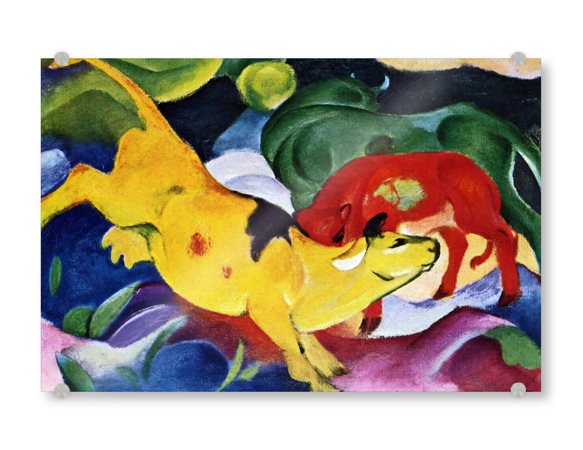 Acrylglasbild "Kühe-rot, grün, gelb" artboxONE - Natur,Tiere