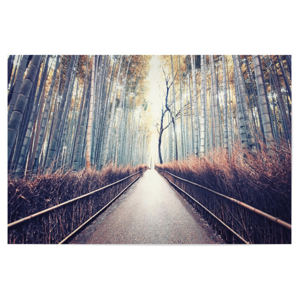 Poster "Bamboo grove" artboxONE - Natur,Reise,Reise / Asien,Reise / Länder