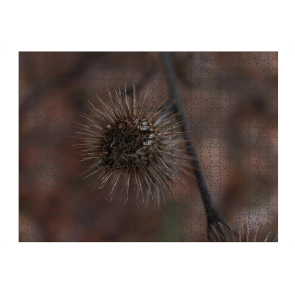 Puzzle Ravensburger "Getrocknete Blumenliebe" artboxONE - Natur