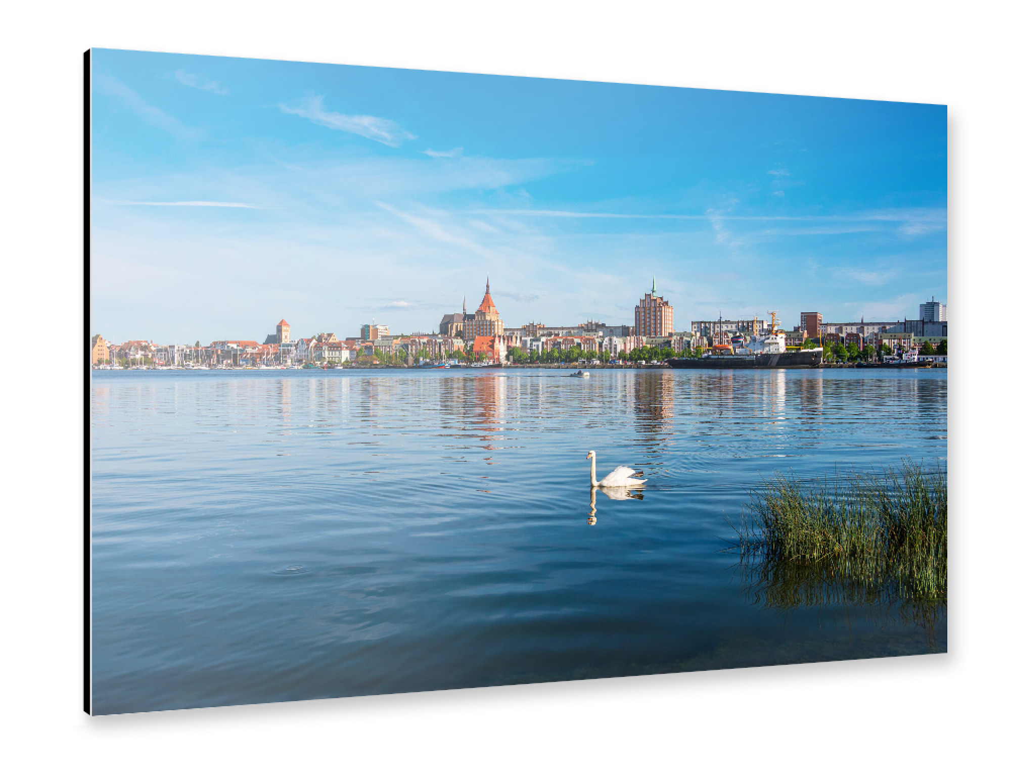 Alu-Dibond "Schwan und Rostock" 75x50 cm artboxONE