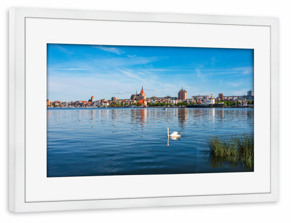 Poster mit Rahmen weiß "Schwan und Rostock" artboxONE - Natur,Reise,Tiere,Architektur,Städte / Weitere