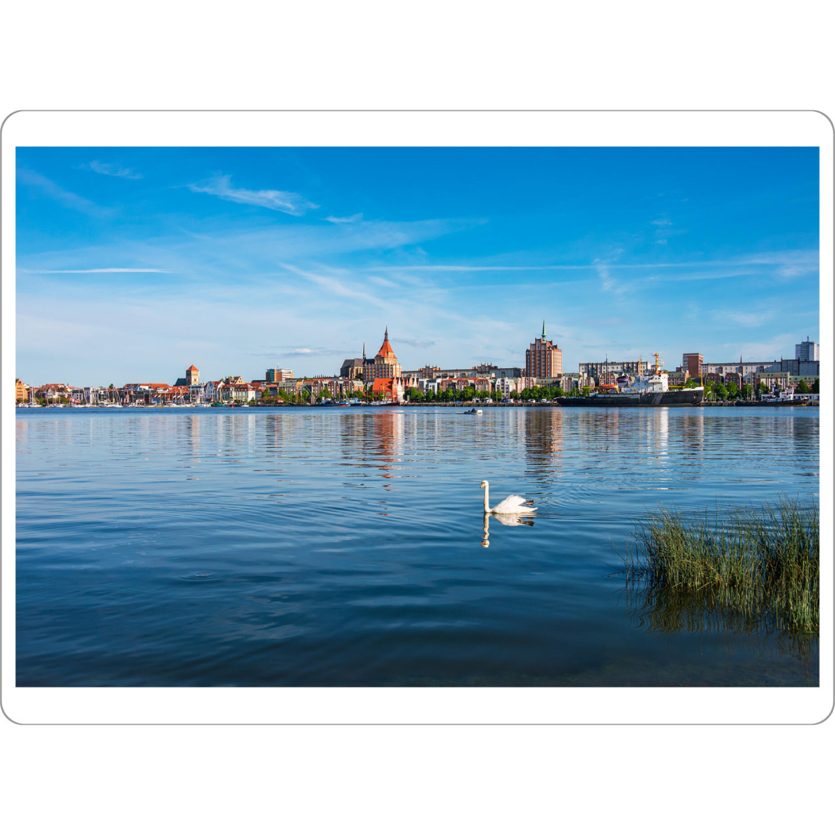 Tischset "Schwan und Rostock" artboxONE - Natur,Reise,Tiere,Architektur,Städte / Weitere