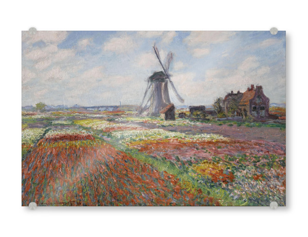 Acrylglasbild "Tulpenfelder in Holland" artboxONE - Natur,Floral