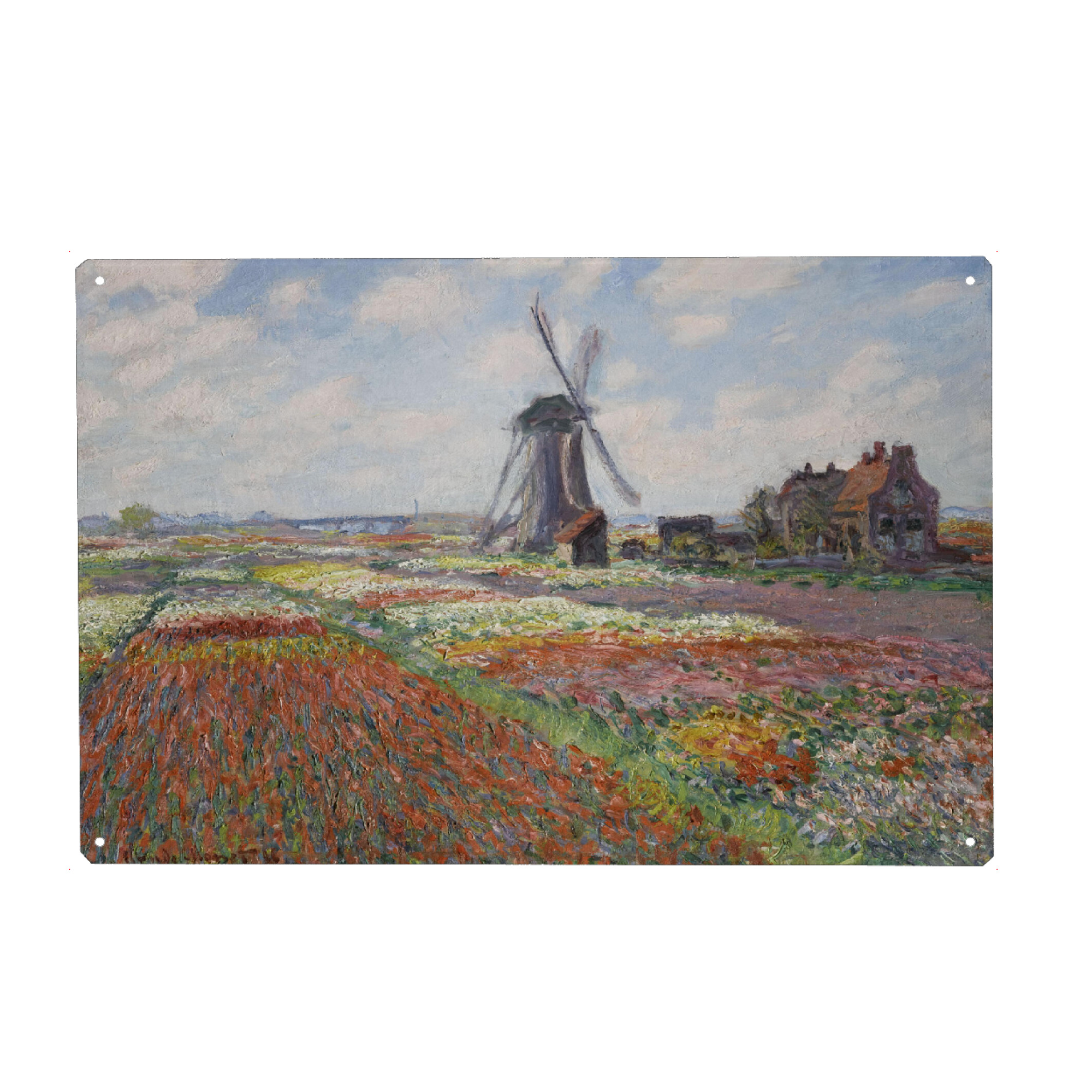 Metall Poster "Tulpenfelder in Holland" artboxONE - Natur,Floral