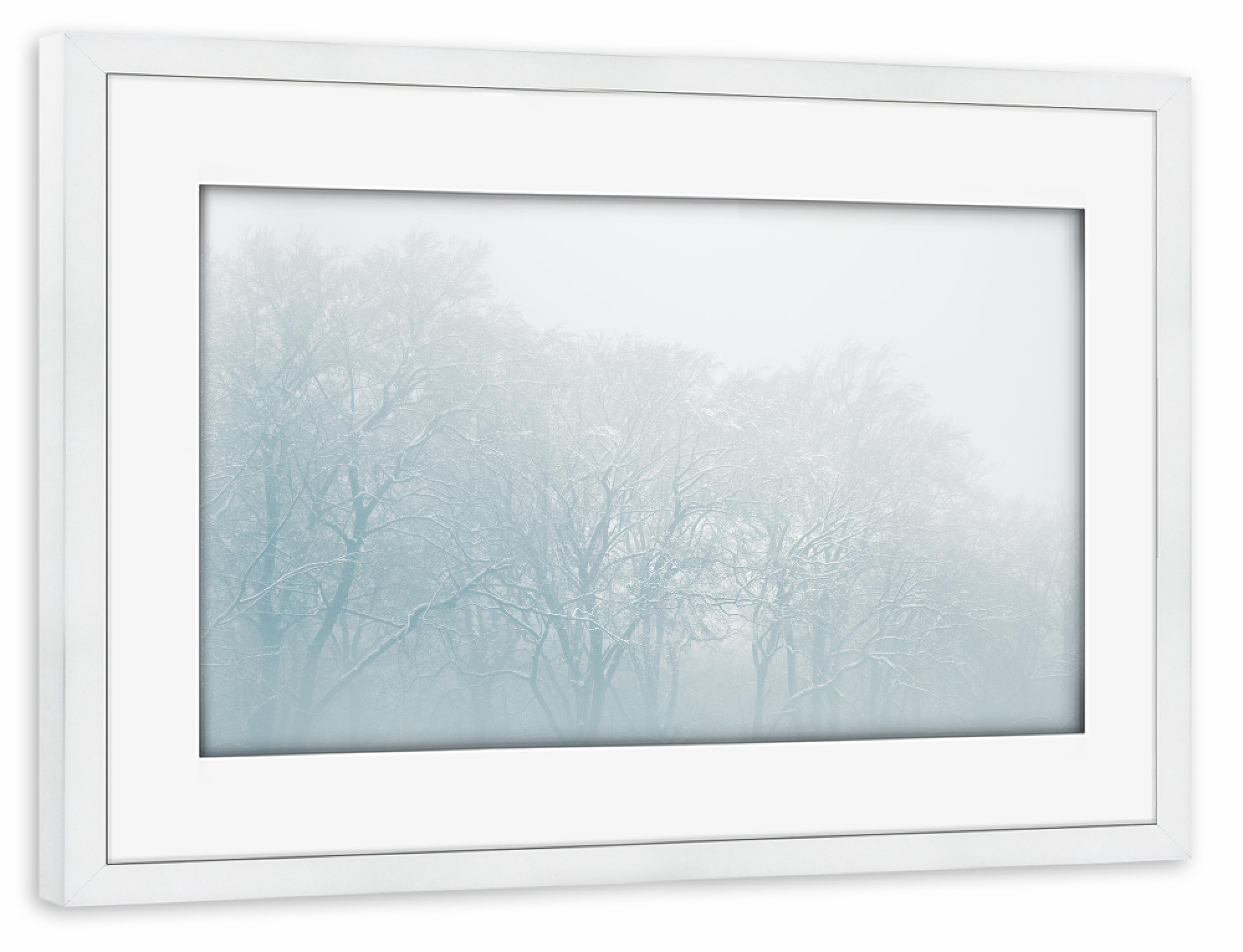 Poster mit Rahmen weiß "Winterforest" artboxONE - Natur - Nebel,Wald,Winter,Schneebedeckt,Bäume,Hell,Siebengebirge,Schnee,Snow,Foggy,Forest