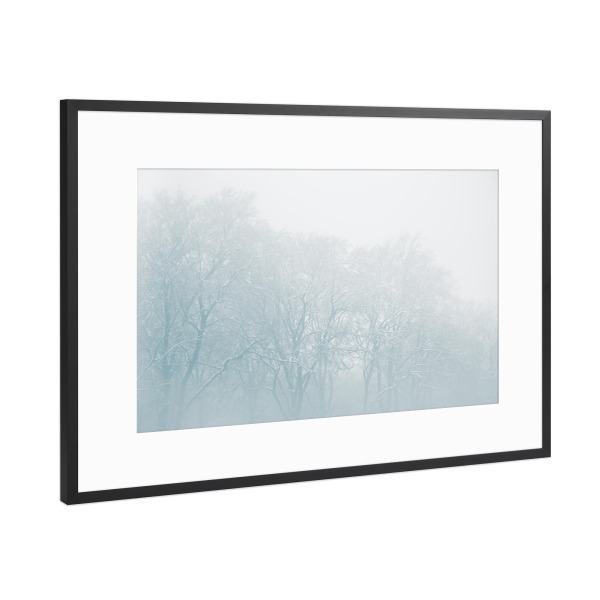 Poster mit Rahmen Schwarz (Metallic) "Winterforest" artboxONE - Natur