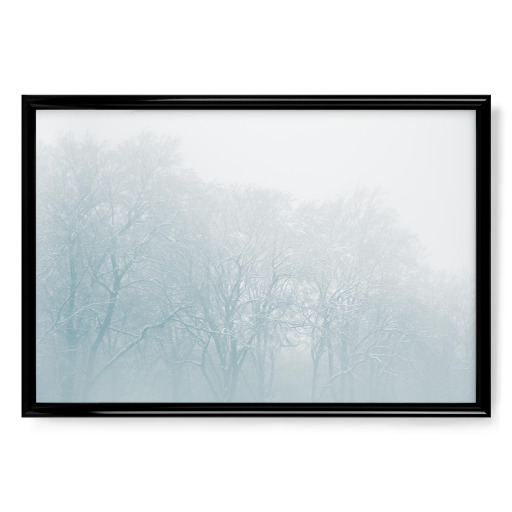 Winterforest Winterforest