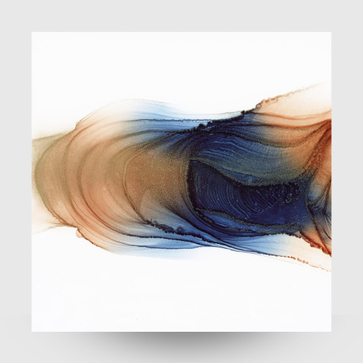 Fisch Waves