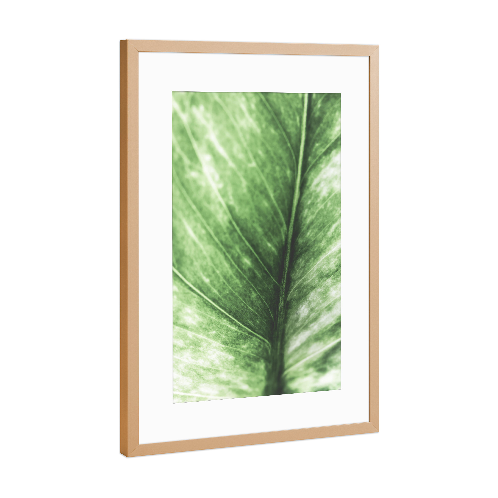 Poster mit Rahmen Kupfer "Bright Leaf" artboxONE - Natur,Floral - Blatt,Makroaufnahme,Makrofotografie,Natur,Nature,Closeup,Nahaufnahme,Leaf