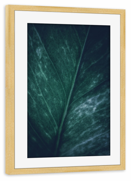 Poster mit Rahmen kiefer "Gloomy Leaf" artboxONE - Natur,Floral