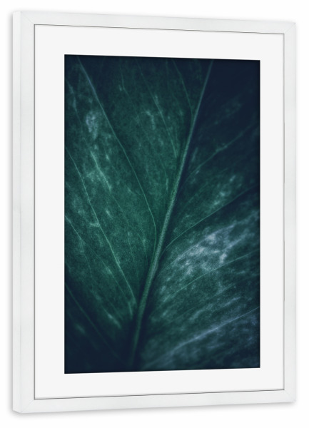 Poster mit Rahmen weiß "Gloomy Leaf" artboxONE - Natur,Floral