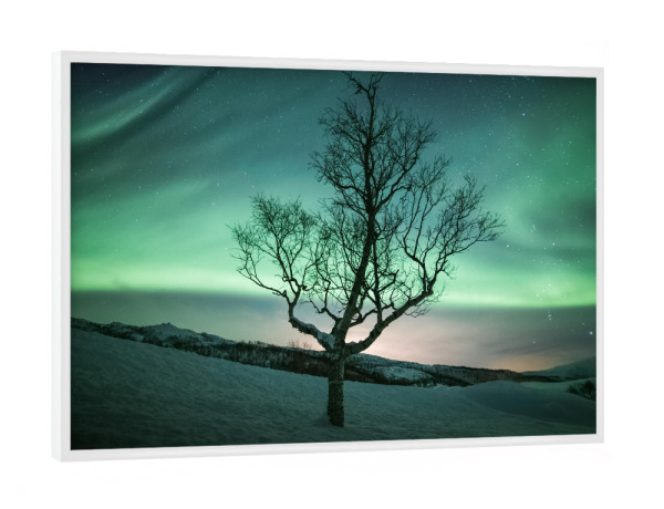 Poster mit weißem Rahmen "Nordlichtbaum" artboxONE - Natur