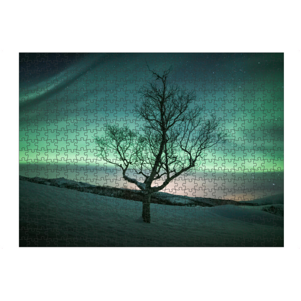 Puzzle Ravensburger "Nordlichtbaum" artboxONE - Natur